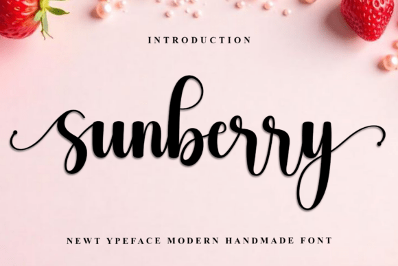 Sunberry: Festive Typography for Design